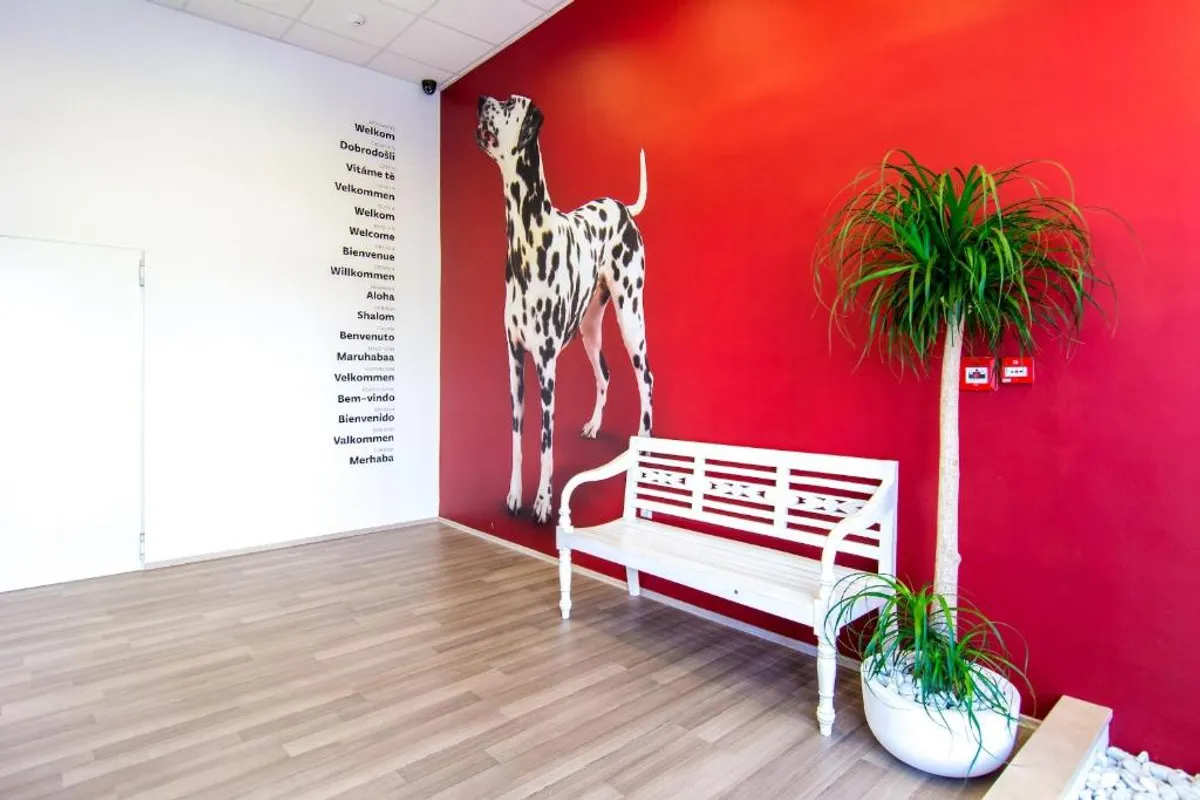 Design Hostel 101 Dalmatinac photo 2