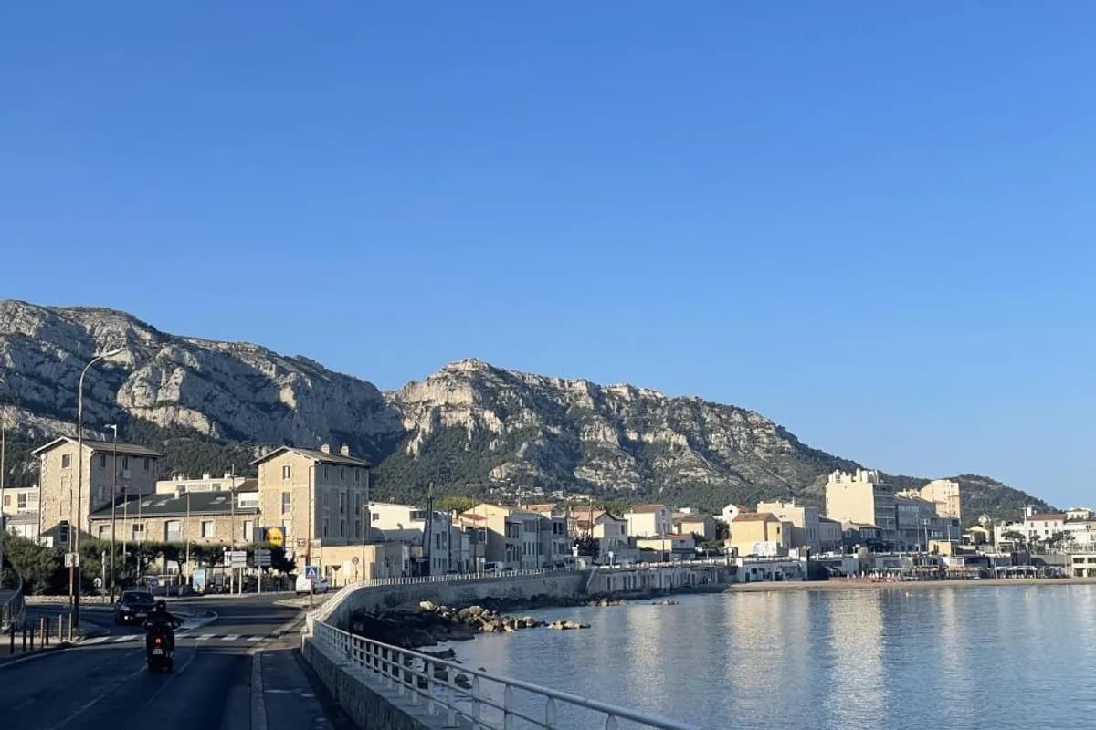 Balaena hébergement