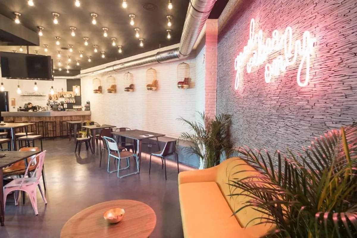 Cats Hostel San Sebastián photo 4