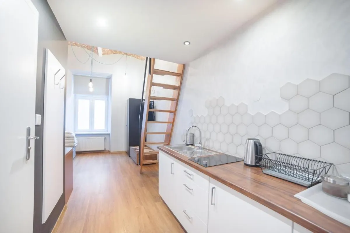 Dizzy Daisy Hostel photo 3