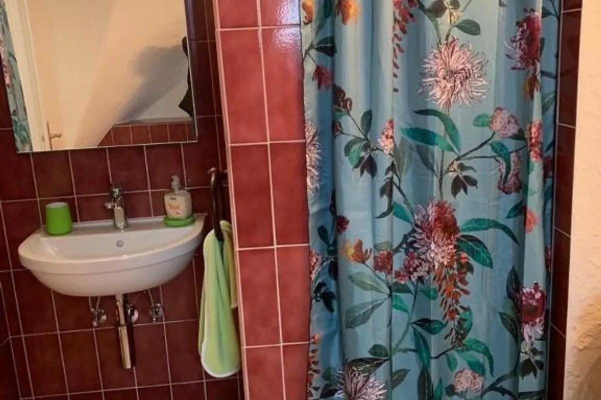 Friendly Hostel Zurich photo 3