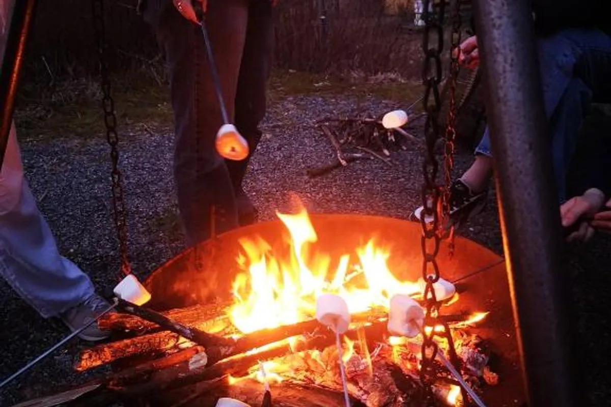 Bergen Hostel Montana photo 2