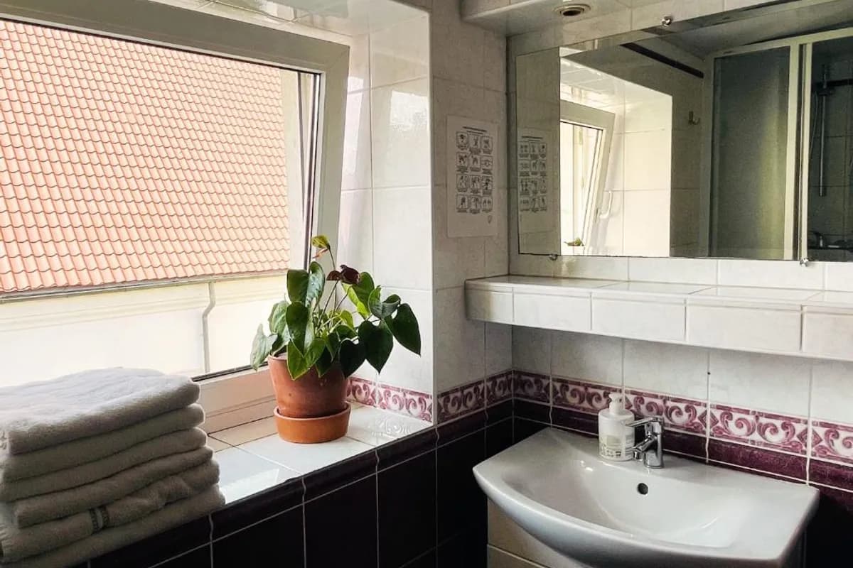 Mikalo House photo 3