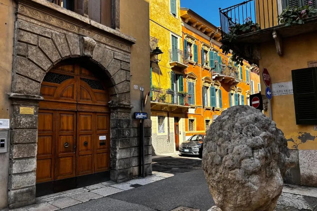 Protezione della Giovane photo 1