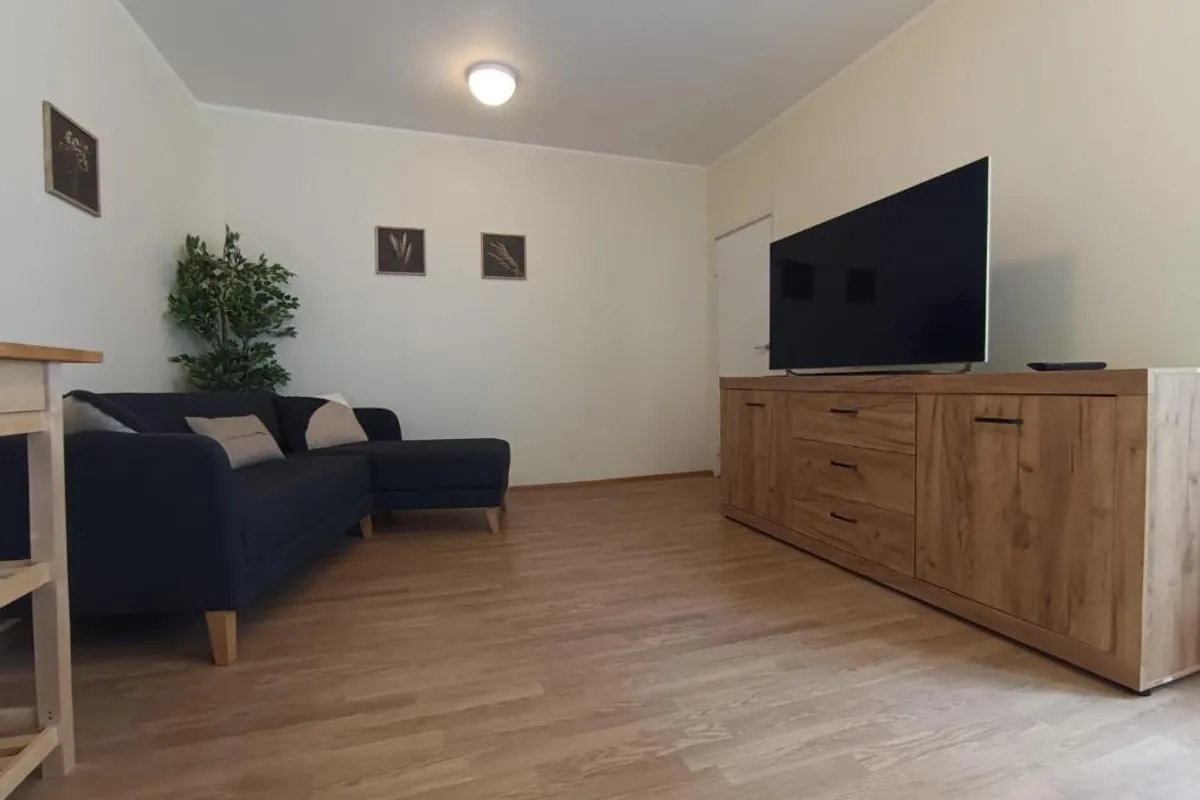 Viru Backpackers Hostel photo 4