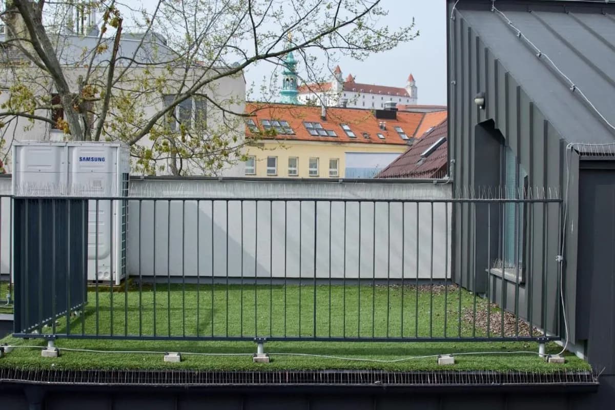 Wild Elephants Hostel photo 4