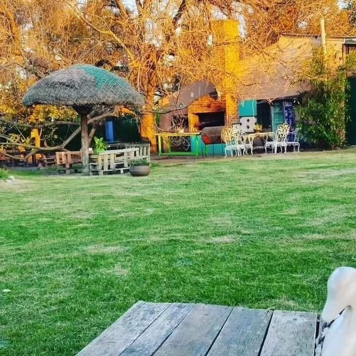 Estilo campo Juanico photo 3
