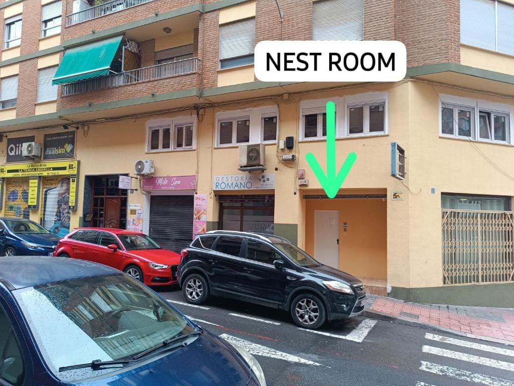 Nest Room
