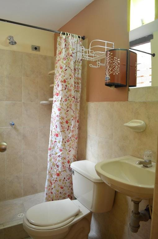 Hostal La Candelaria photo 3