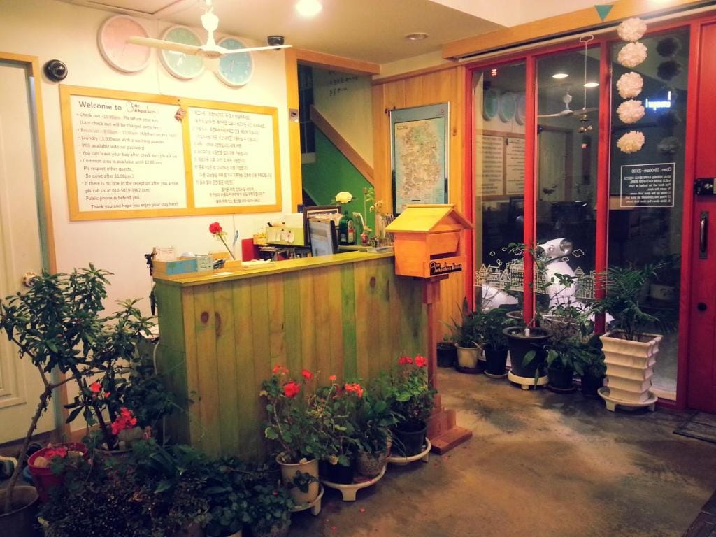 Blue Backpackers Hostel photo 2