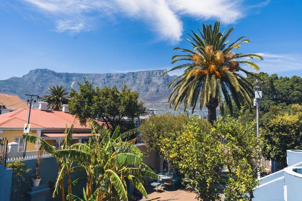 Villa Viva Cape Town photo 4