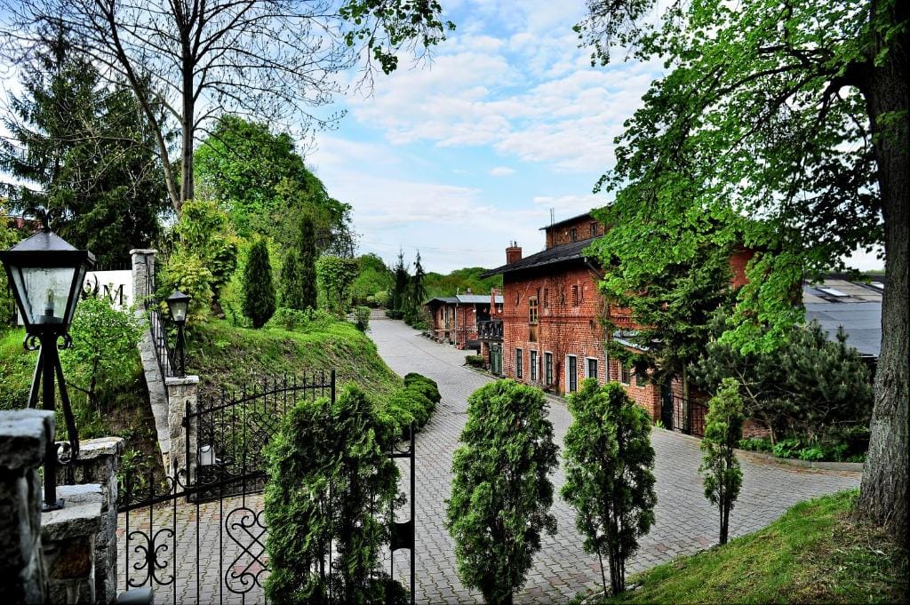 Korona
