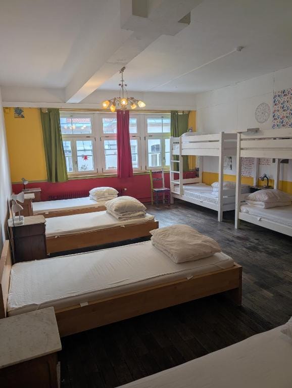 Black Forest Hostel photo 2
