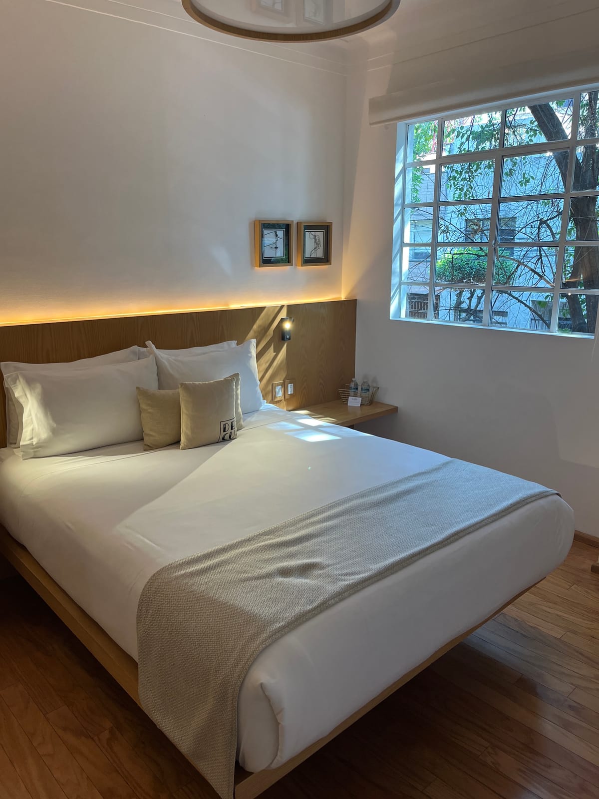 Casa Decu photo 3