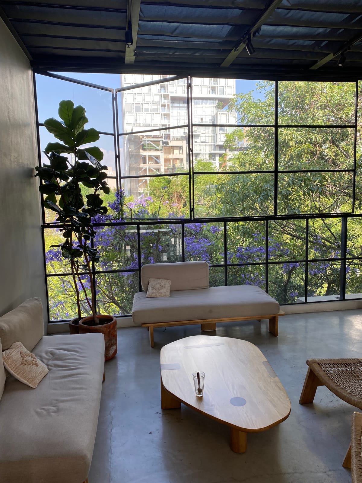Casa Pancha photo 4