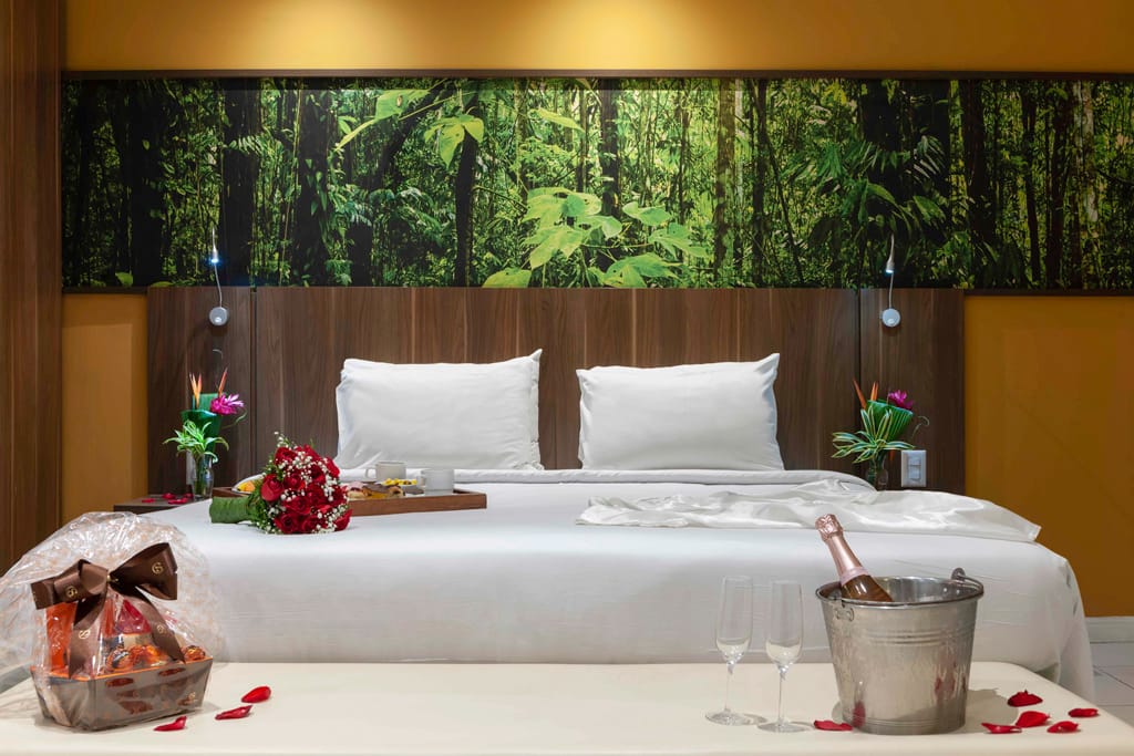 Mercure Rio de Janeiro Nova Iguacu photo 3