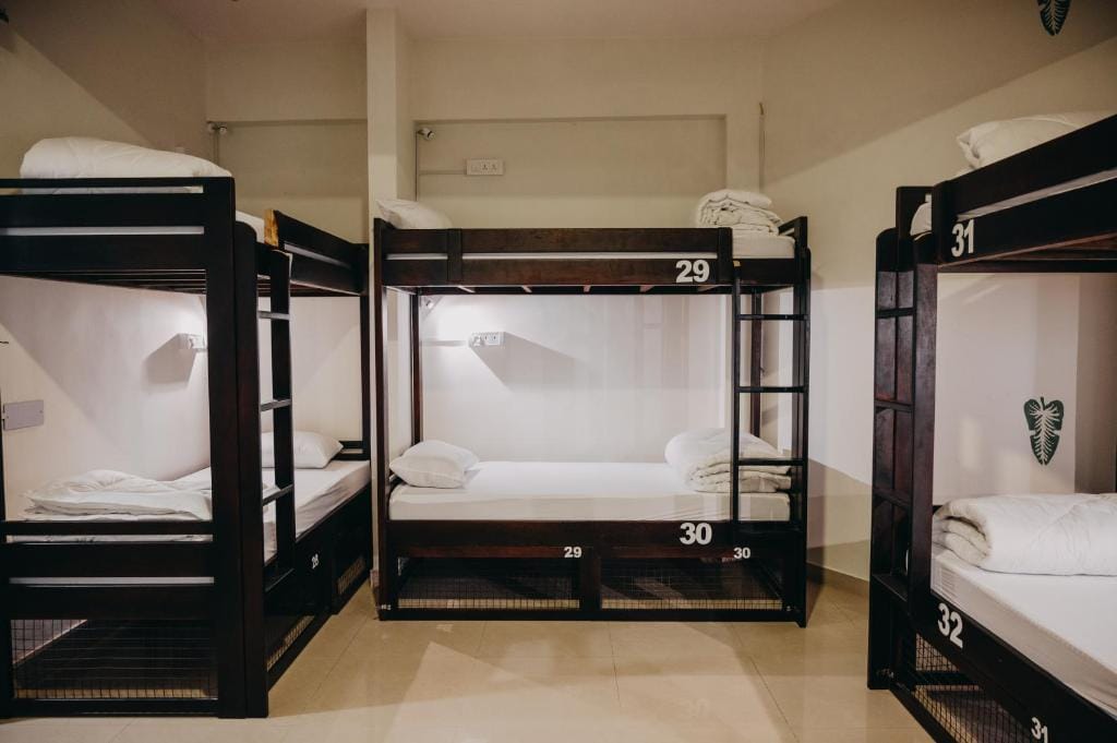 Horn Ok Please Hostel Jaipur photo 4