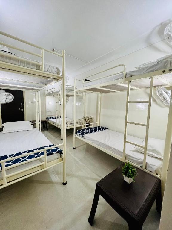 Hostel ivory photo 3
