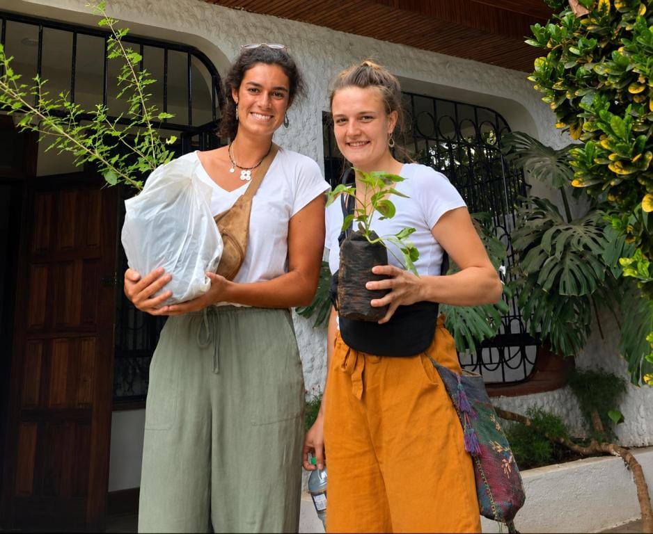 Jungle Nairobi Backpackers Hostel