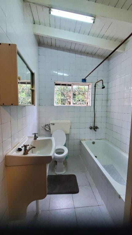 Mad Vervet Nairobi Backpackers Hostel photo 3
