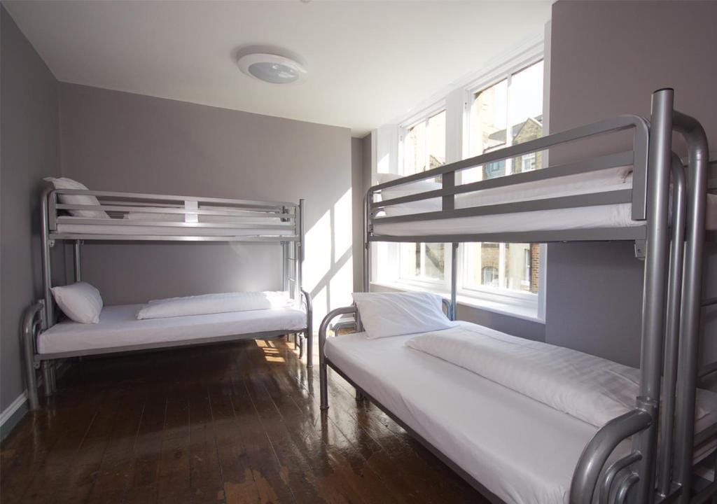 Albatross Hostel photo 2