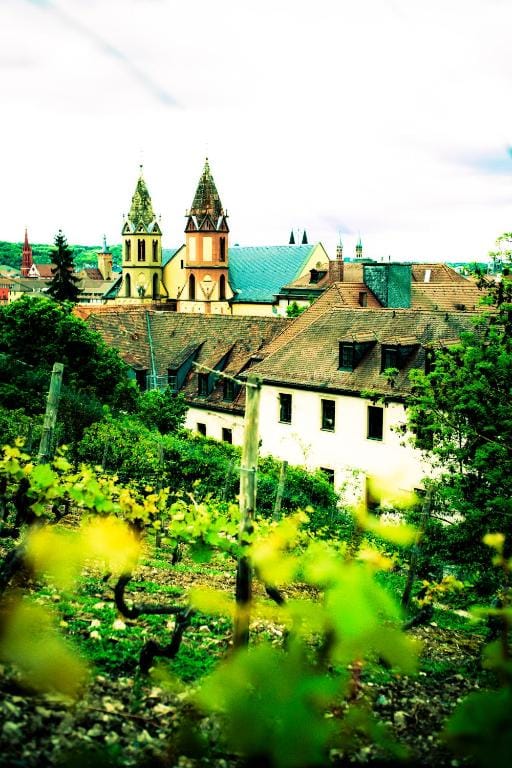 Würzburg hero