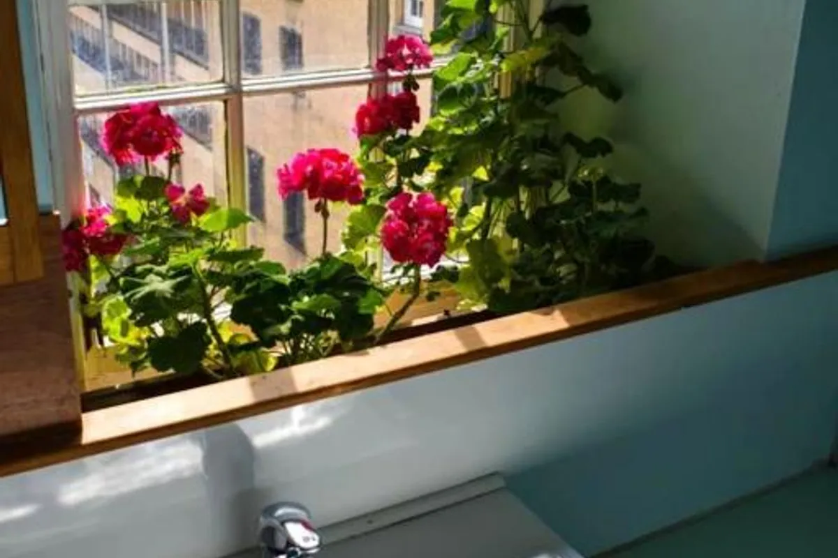 High Street Hostel photo 3