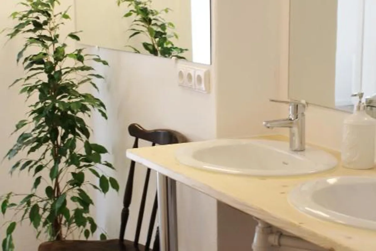 Tree House Hostel Riga photo 3