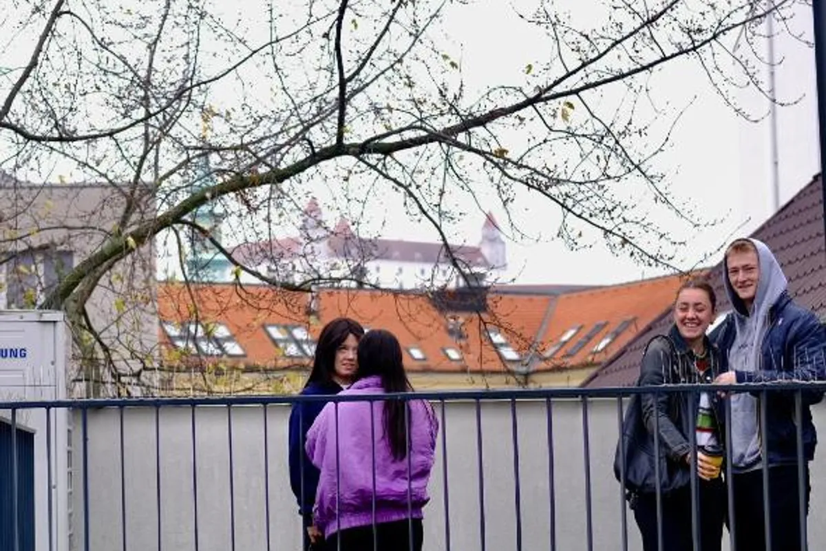 Wild Elephants Hostel